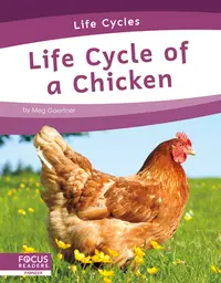 在飛比找誠品線上優惠-Life Cycle of a Chicken