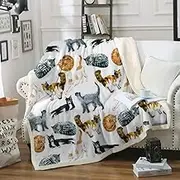 Sleepwish Cat Fleece Throw Blanket Hipster Cats Pattern Sherpa Plush Throw Blanket for Couch Bed Kids Girls Vintage Animal Blanket (50" x 60")