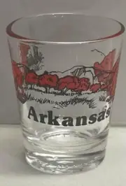 Arkansas Shot Glass w/ Razorback