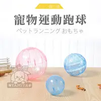 在飛比找蝦皮購物優惠-【亞米屋Yamiya】水晶運動跑球 10cm/12cm 寵物