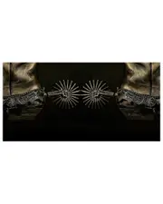 Empire Art Direct Silver Spur Spiral Frameless Free Floating Tempered Glass Panel Graphic Wall Art
