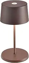 Zafferano, Olivia Mini Lamp, Portable and Rechargeable Table Lamp with Touch Control, Suitable for Living Room and Outdoor Use, Dimmer, 2700-3000 K, Height 22 cm, Colour Corten