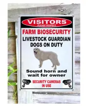 Maremma sheep dog livestock guardian sign with cctv