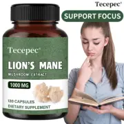 Lion's Mane Mushroom Powder 100% Organic Lions Mane Supplement Brain Nootropic