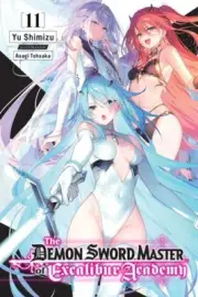 The Demon Sword Master of Excalibur Academy, Vol. 11 (Light Novel) (Demon