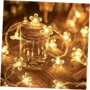 Flower Fairy Light Battery Operated Indoor String Lights 30LED Warm White