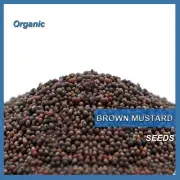 ✅Brown Mustard Seeds ORGANIC Very High Quality Premium 100% PURE Natural Sprout