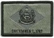 VELCRO® BRAND Fastener Morale HOOK PATCH State of Delaware FOLIAGE 3x2"