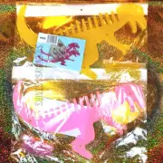 DINOSAUR CD RACK Holds 14 CDs jewel case storage organizer holder Godzilla t-rex
