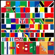 National Flag Country Map Stickers,100 Pcs World Flags Graffiti Vinyl Waterproof Decals for Water Bottles Computer Bicycle Skateboard Luggage Phone Pad Laptop Kids Teens Adults Stickers Pack