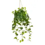Glamorous Fusion Pothos Bush Artificial Fake Hanging Planter 104cm Decorative W/