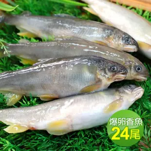 【築地一番鮮】宜蘭大尺寸爆卵香魚24尾組(12尾/盒 共2盒)