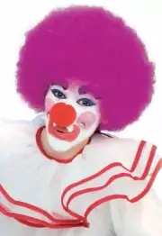 Rubie's Costume Deluxe Clown Wig, Purple, One Size