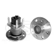 GSP Wheel Hub Assembly - 400064