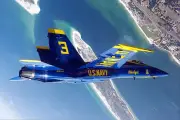 BLUE ANGELS LOOPING MANEUVER OVER PENSACOLA 8x12 GLOSSY PHOTO PRINT