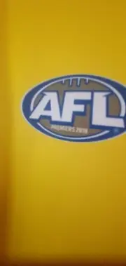Richmond FC 2019 Premiership Logo Jumper