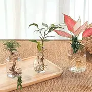 3-Pack Leaf Buddy Plant Support: Fun and Functional Plant Propagation Friends for Sprouts, Stems, and Cuttings – Perfect Growth Tool for Indoor Gardens