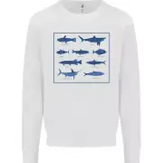 Fish Species Fishing Fisherman Shark Kids Sweatshirt Jumper