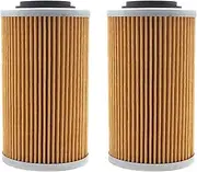 Motorcycle Oil Filter For SPYDER RT-S SM5 998 - All GS - SE5 990 For 1125CR 1125(2 pcs)