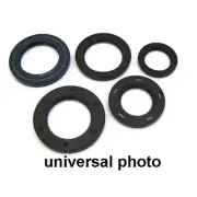 Engine Oil Seal Set Fits 1986 Suzuki DR100