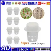 50pcs 35mm-Mini Heavy Duty Mesh Pot Net Cup Basket For Plant Grow