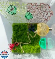 Okueejur 6 Pcs Jumping Spider Accessories Set - Jumping Spider Habitat with H
