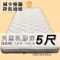在飛比找Yahoo!奇摩拍賣優惠-【嘉新床墊】厚5公分/ 標準雙人5尺【馬來西亞天然乳膠床】頂