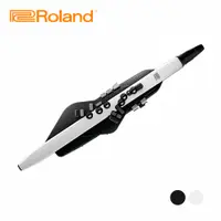 在飛比找蝦皮商城優惠-ROLAND AE-20 數位吹管 黑/白款【敦煌樂器】