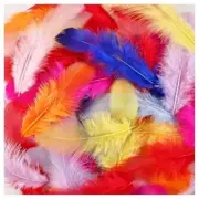 Colorful Feathers-900 pcs 3-5inch Colored Feather Bulk for Fun DIY Crafts
