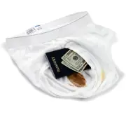 The Brief Safe Travel Security Hidden Contents Wallet Passport Protector