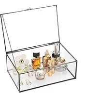 TOLIDA Extra Large Vintage Glass Lidded Rectangle Jewelry Box - Tabletop Display for Rings, Bracelets, Necklaces, Storage (Black)
