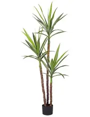 [SOGA] Artificial Dracaena Yucca Tree 150cm in Assorted