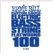 Ernie Ball Stainless Steel .100 FLATWOUND ELECTRIC BASS STRING SINGLE - 1797