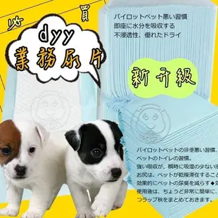 【dyy】日單噓噓價 業務用經濟包除臭尿布尿片共6包 (終於到貨了) (免運費)【培菓寵物】