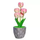 Desk Lamp Touch Control Useful Dimmable Home Flower LED Lamp USB Rechargeable AU