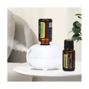 Mini Fragrance Diffuser Aromatherapy Machine Automatic Induction Portable Cute for Diffuser USB White