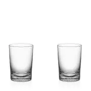 Kosta Boda Limelight Tumbler, Set of 2