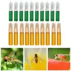 10Pcs Fruit Fly Attractant 2ml Trap Bait Beekeeping Beehive O4Q8 Swarm K9C8 V8O5