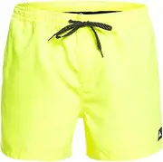 Quiksilver Everyday 15" - Swim Shorts for Men Swim Shorts