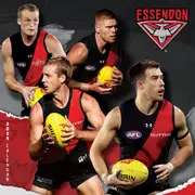 2025 AFL Essendon Bombers Wall Calendar