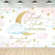 Newsely Twinkle Twinkle Little Star Gender Reveal Backdrop 7Wx5H Photography Boy or Girl How We Wonder What You are Party Background Decorations Pink Blue Clouds Newborn Banner Photo Props Supplies