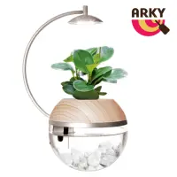 在飛比找momo購物網優惠-【ARKY】Herb City Pro 香草城市 進階版 馬