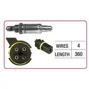 RAE Oxygen Sensor - OX684