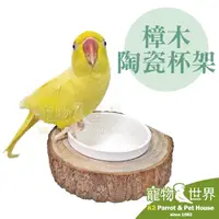 在飛比找PChome商店街優惠-缺《寵物鳥世界》台灣製 樟木陶瓷杯架 15*15cm │ 原