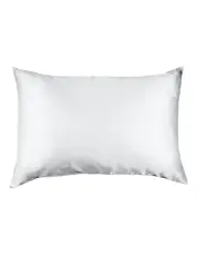 [Royal Comfort] Pure Silk Pillowcase Single Pack with Gift Box in Silver