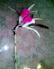 Kitten Cat teaser Cat toy wand tassel Kitty sparkler bird feather fur Handmade