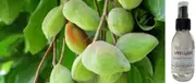 Kakadu Plum & Bush Cucumber - Room Spray