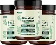New Sea Moss Gummies 16-In-1, 6000 Mg Sea Moss Supplement, Boosts Immune Support, Gut Health and Metabolism, for Women Men (3PCS)
