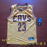 在飛比找Yahoo!奇摩拍賣優惠-NBA官網正品adidas兒童青年版JAMES 詹姆士 騎士