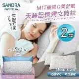 在飛比找遠傳friDay購物優惠-【Sandra仙朵拉】MIT台灣製 天絲記憶獨立筒枕頭x2入